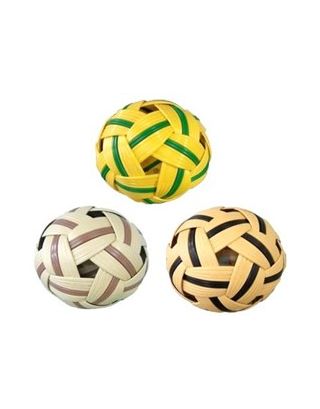 ตะกร้อ ชนิดแข่งขัน PREMIER รุ่น PM-200