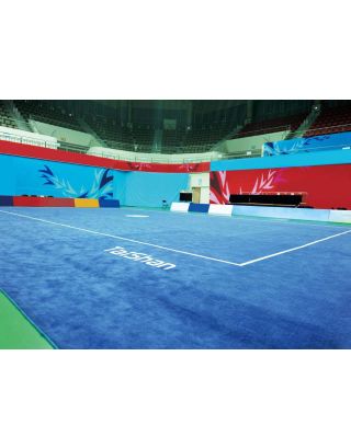 พื้นสนาม วูซู แข่งขัน ประเภทยุทธลีลา ขนาด 10x16 ม. หนา 9 ซม. พท.แข่งขัน 8x14 ม.