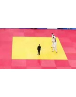 พื้นสนาม ยูโด แข่งขัน หนา 50 มม. ขนาดแผ่น 1x2 ม. หนัง PVC สหพันธ์ยูโดนานาชาติรับรอง (IJF Approved)